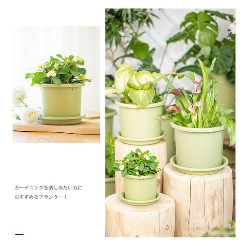 爱丽思deepot花盆塑料加仑盆阳台种菜盆托爱丽丝花盆多肉兰花月季 - 图2