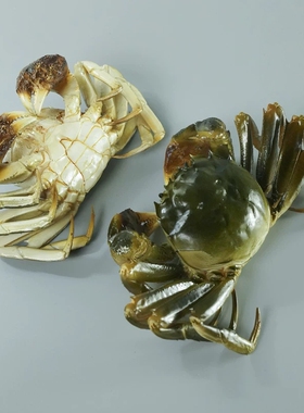 仿真阳澄湖大闸蟹模型公蟹拍摄直播道具假海鲜水产螃蟹大闸蟹模具