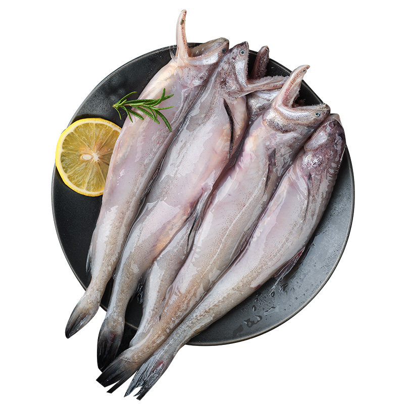 【顺丰】舟山特产龙头鱼新鲜活冷冻豆腐鱼海鲜九肚鱼水潺鱼旗舰店,淘宝优惠券,粉丝福利购,淘宝优惠卷