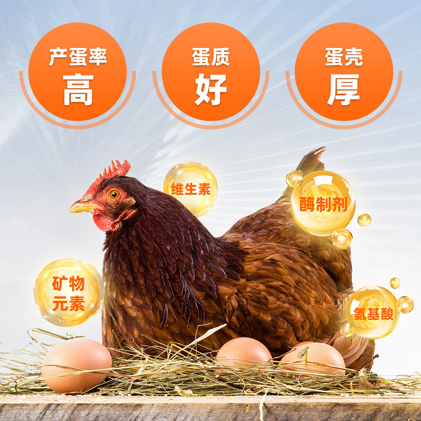 2%蛋鸡预混料,淘宝优惠券,粉丝福利购,淘宝优惠卷