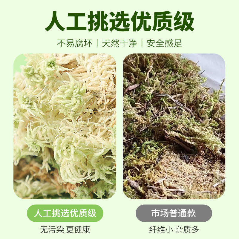 乌龟冬眠用品吸水树脂水苔保湿保温箱乌龟过冬缸龟冬眠盒套装苔藓,淘宝优惠券,粉丝福利购,淘宝优惠卷