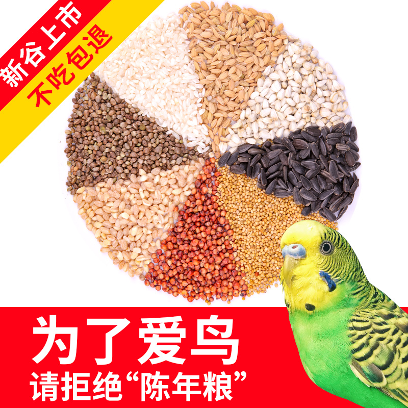 虎皮鹦鹉饲料玄凤牡丹专用混合料鸟食粮食带壳小米黄谷子食物鸟粮 - 图3