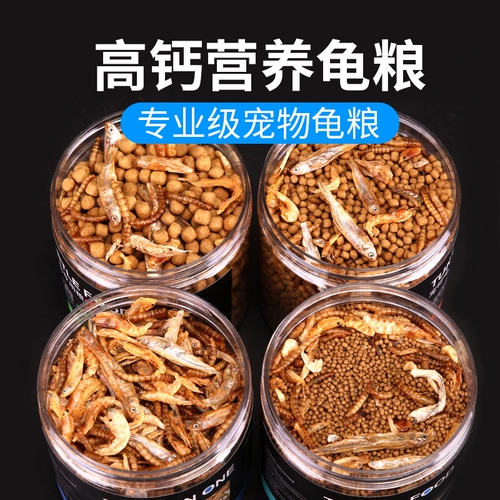 Главная черепаха с черепахой