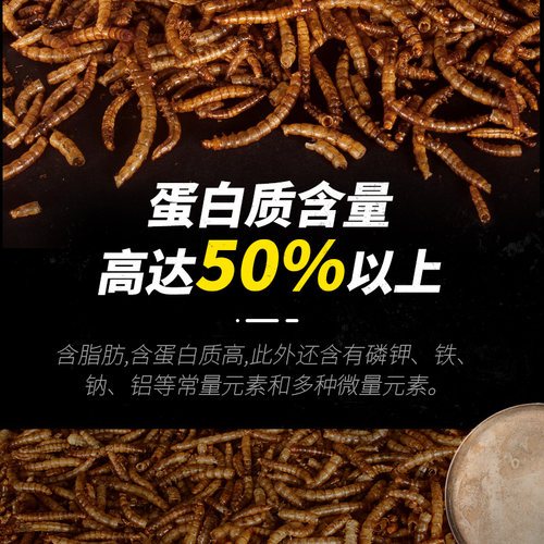 面包虫八哥鸟食虫干饲料鹩哥鸟粮画眉鸟相思鸟百灵鸟画眉食鸟饲料 - 图2