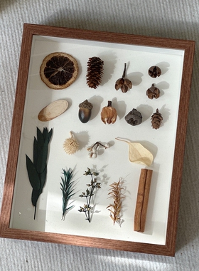 落叶标本相框diy手工干花植物蝴蝶标本相框挂墙捡秋画框装饰摆件