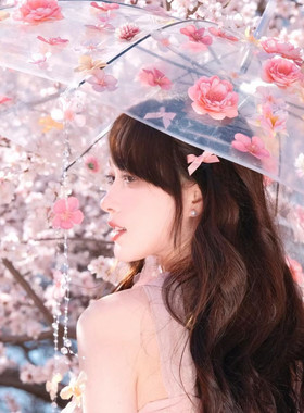 蝴蝶花瓣透明雨伞diy手工氛围感