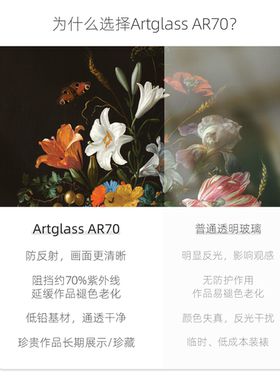 Artglass低反射玻璃艺术品保护用