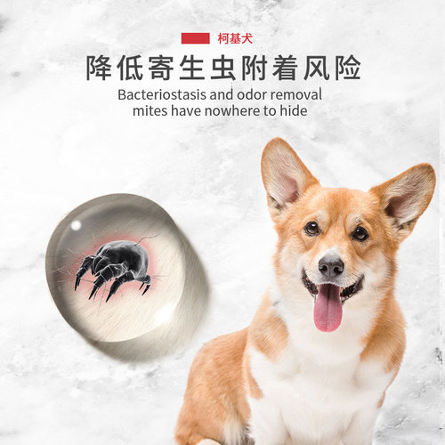 柯基专用沐浴露宠物狗狗幼犬洗澡用品杀菌除臭持久留香洗护沐浴液 - 图2