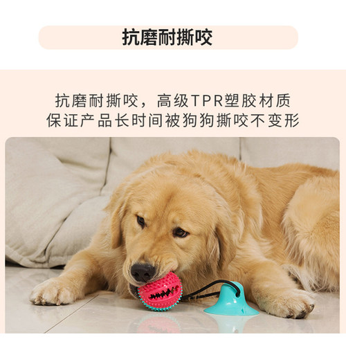 宠物狗狗玩具吸盘拉力耐咬磨牙解闷神器金毛边牧大型犬小狗自嗨球 - 图1