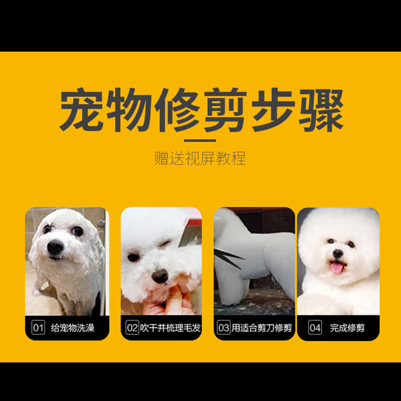 狗狗剪毛宠物狗美容剪刀专业泰迪狗毛弯剪子修毛神器比熊专用套装,淘宝优惠券,粉丝福利购,淘宝优惠卷