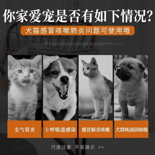 爱纳它 Кашель астма, домашняя кошка, собака, кашель, лекарство от холодного