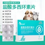 Кошачья лекарство от носа лекарства Кот холодные лекарства чихание зверей с домашними собаками лекарства от холодной