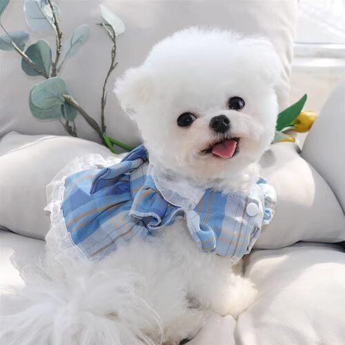 宠物狗裙子夏季薄款狗狗衣服泰迪比熊小型犬夏装猫咪公主裙牵引裙 - 图1