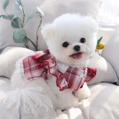 宠物狗裙子夏季薄款狗狗衣服泰迪比熊小型犬夏装猫咪公主裙牵引裙 - 图2