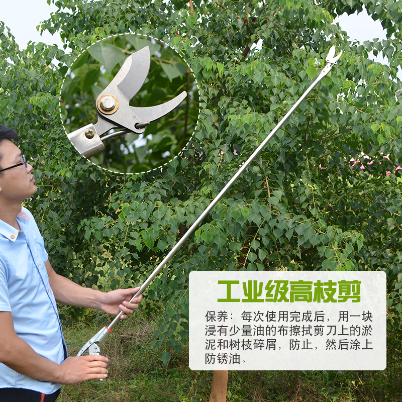 修枝剪刀不锈钢高空剪枝蔬果剪长伸缩家用花卉枝省力高枝园艺剪刀_虎窝淘