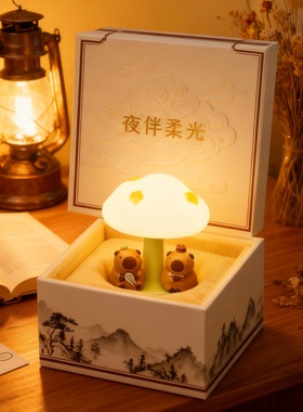 卡通动物树脂小夜灯礼盒摆件