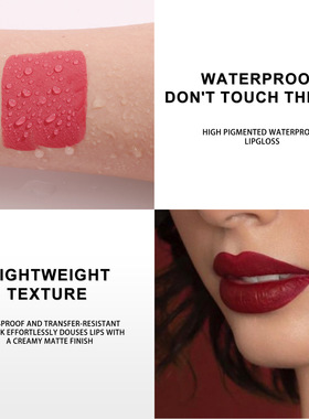 12 Colors Waterproof Nude Matte Lipsticks Long Lasting Lip