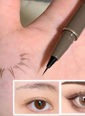 Matte Black Brown Liquid Eyeliner Ultra-thin Waterproof Quic