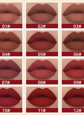 Liquid Lipstick Waterproof Velvet Nude Matte Sexy Red Lip Gl