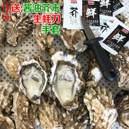 5斤装生蚝鲜活牡蛎海蛎子海鲜海贝壳生吃活体发顺丰包邮一箱 - 图0
