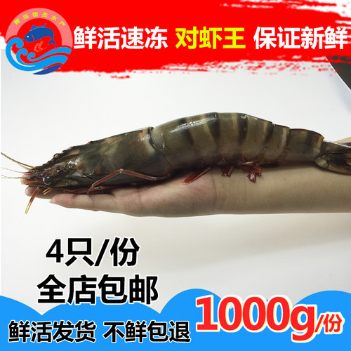 青岛海鲜野生大虾新鲜对虾包邮鲜活速冻冷冻水产特大海虾草虾虎虾 - 图0
