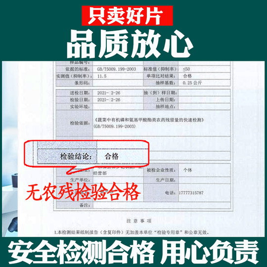 Authentic medicinal dried bergamot