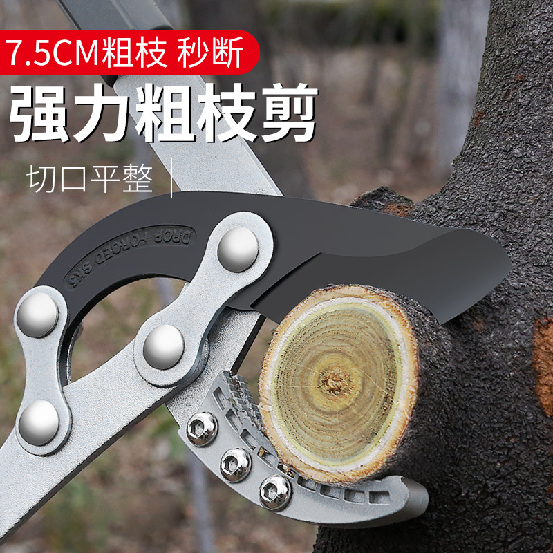 剪树枝专用剪刀果树剪枝修枝剪修剪修粗枝剪加长园林大剪子枝剪_虎窝淘