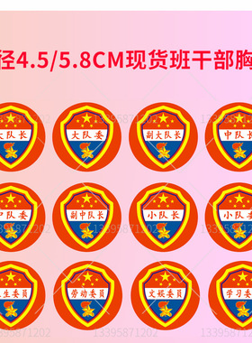 班干部徽章小学生奖励胸章