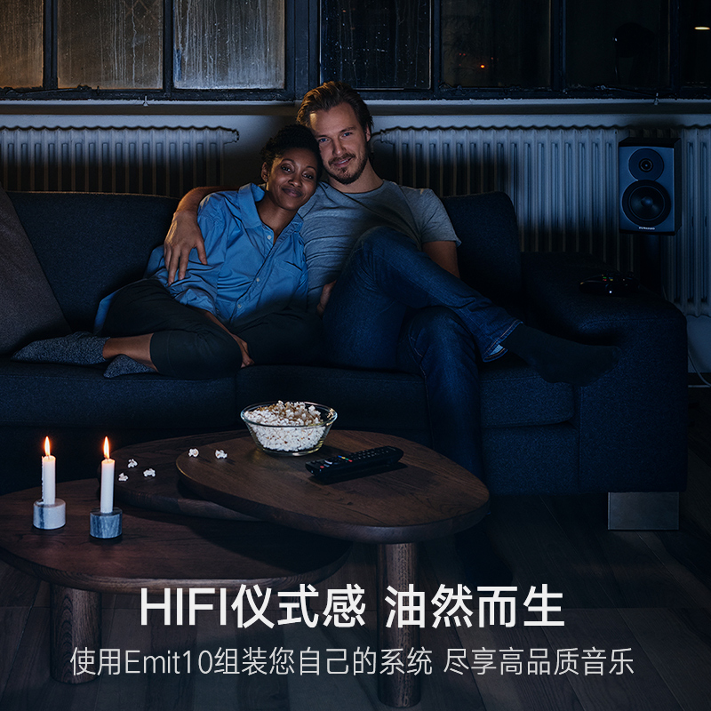 Dynaudio/丹拿新意境系列 New Emit 10 HiFi无源书架音响发烧音箱-图1