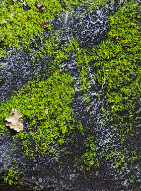 玻璃钢仿真石头景观道具餐厅造景摆件橱窗拍摄室外影视布置假山石