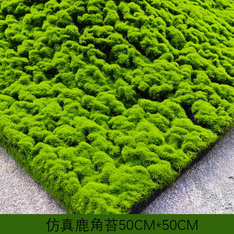 仿真永生苔藓大灰苔鹿角苔室内造景垫子软装草坪婚礼布置地毯装饰,淘宝优惠券,粉丝福利购,淘宝优惠卷