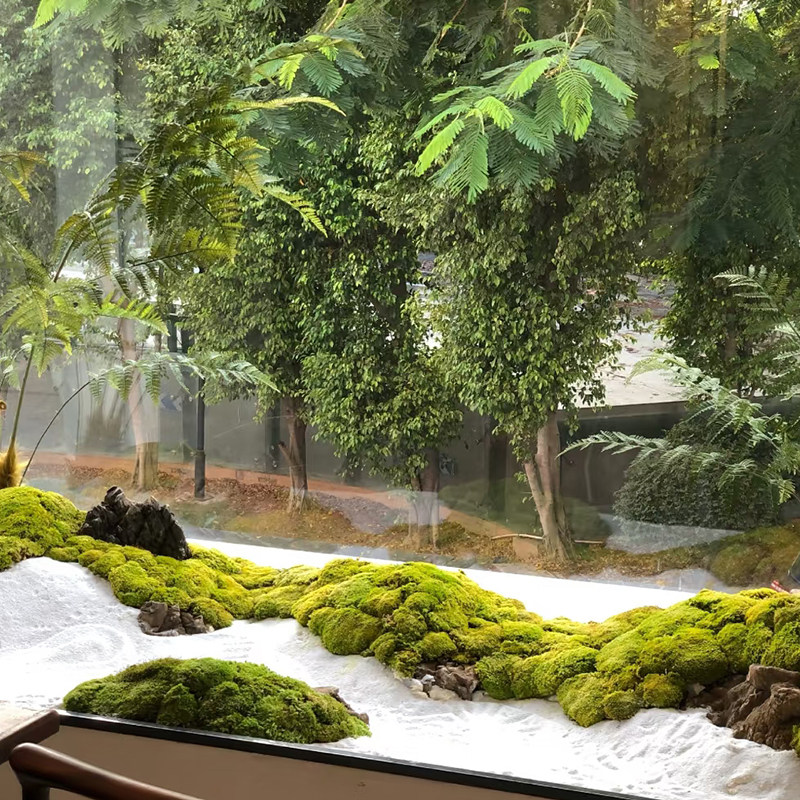 仿真永生苔藓大灰苔鹿角苔室内造景垫子软装草坪婚礼布置地毯装饰,淘宝优惠券,粉丝福利购,淘宝优惠卷