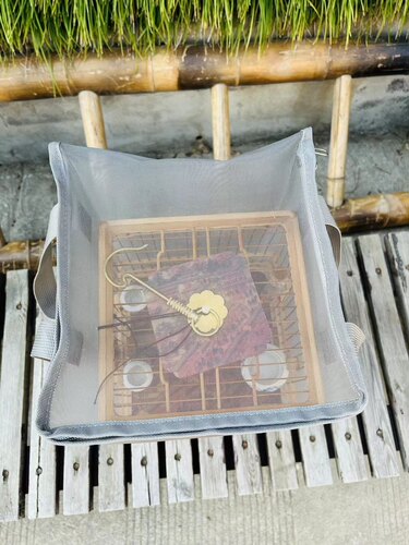 绣眼遛笼专用两笼款手提袋用料加厚耐用牢固有效防惊防灰仿蚊虫 - 图1