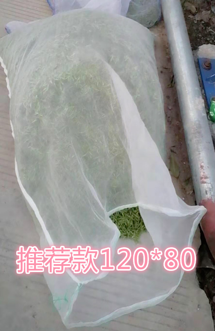 装茶叶 茶青尼龙网袋80目加厚装叶袋 采茶袋可订做袋子青叶透气 - 图1