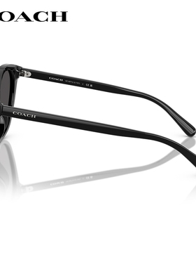 蔻驰板材复古百搭休闲大框女墨镜