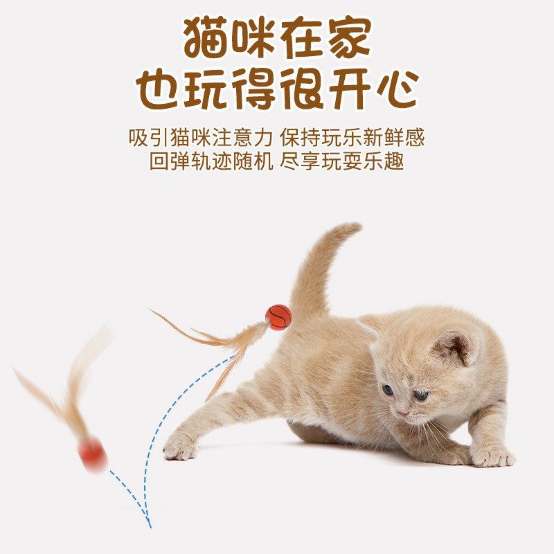 新网红弹力运动球猫咪玩具球宠物球形玩具弹力球抛掷互动球,淘宝优惠券,粉丝福利购,淘宝优惠卷