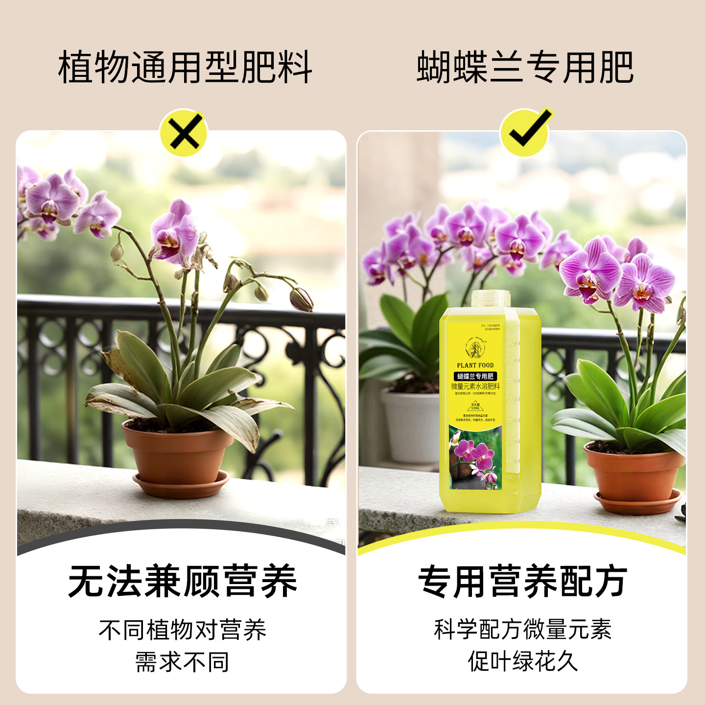 蝴蝶兰专用营养液促花箭开花肥水培专用肥料促进生根兰花植物通用,淘宝优惠券,粉丝福利购,淘宝优惠卷