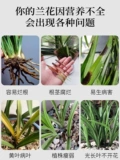 Lanhua Преданные удобрения для удобрений пищевых цветов питательные цветочные орхидеи Plutoh Lan Danfood удобрения удобрения.