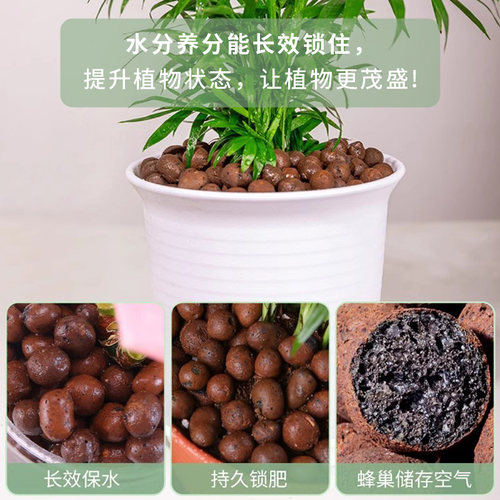 陶粒垫底陶粒养花专用陶粒花用铺面多肉种花陶粒土厂家直销小陶粒 - 图2