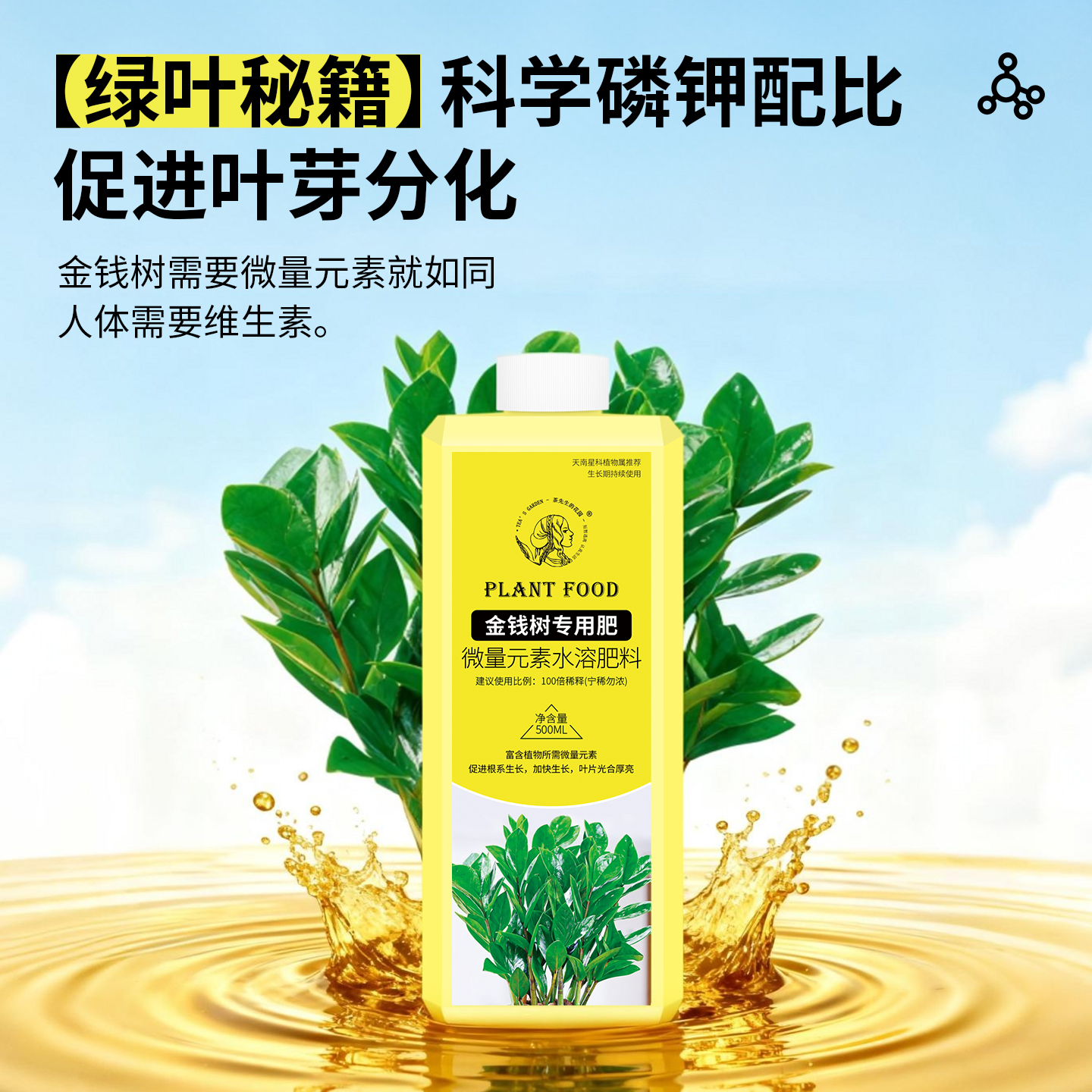 金钱树专用肥营养液复合肥肥料花卉绿植用水溶肥钱串子盆栽叶面肥 - 图0