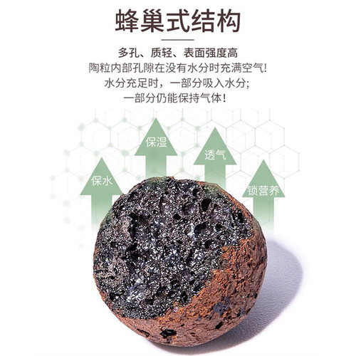 陶粒垫底陶粒养花专用陶粒花用铺面多肉种花陶粒土厂家直销小陶粒 - 图1