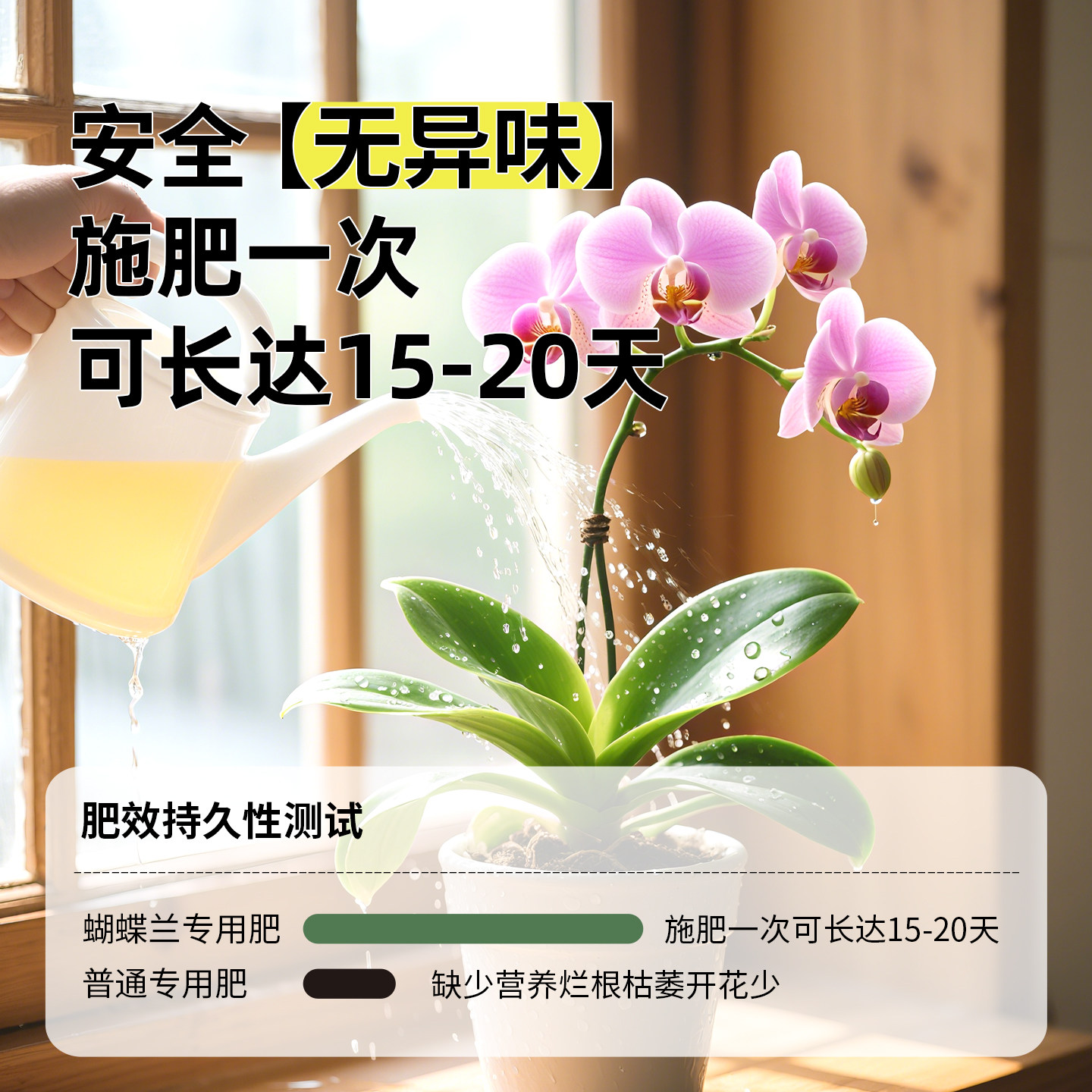 蝴蝶兰专用营养液促花箭开花肥水培专用肥料促进生根兰花植物通用,淘宝优惠券,粉丝福利购,淘宝优惠卷