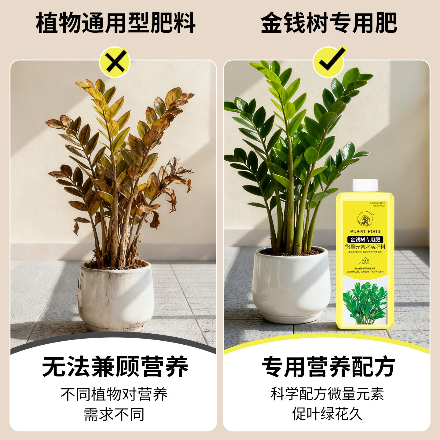 金钱树专用肥营养液复合肥肥料花卉绿植用水溶肥钱串子盆栽叶面肥 - 图2