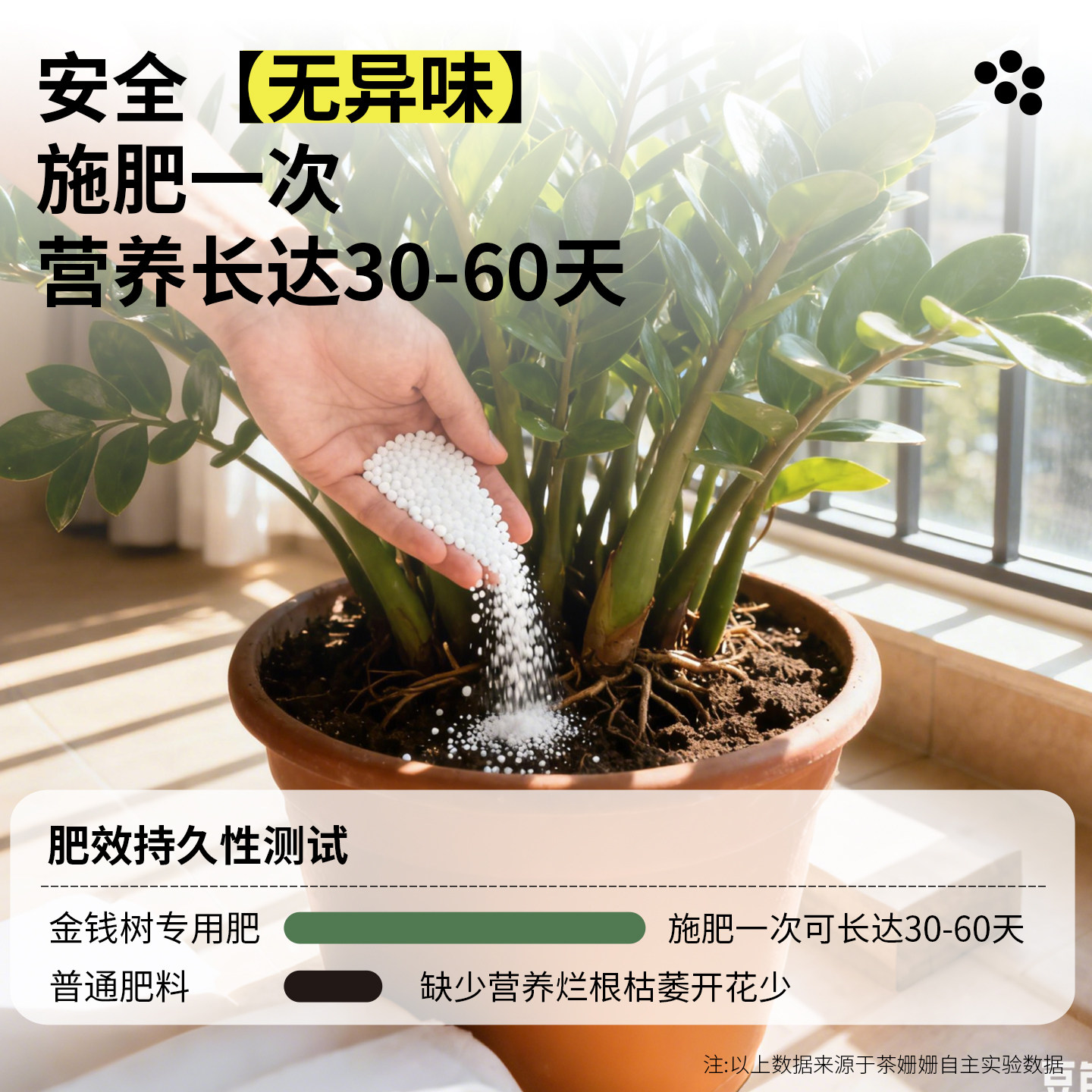 金钱树专用肥钱串子氮磷钾三元复合肥颗粒缓释肥花肥通用养花肥料,淘宝优惠券,粉丝福利购,淘宝优惠卷