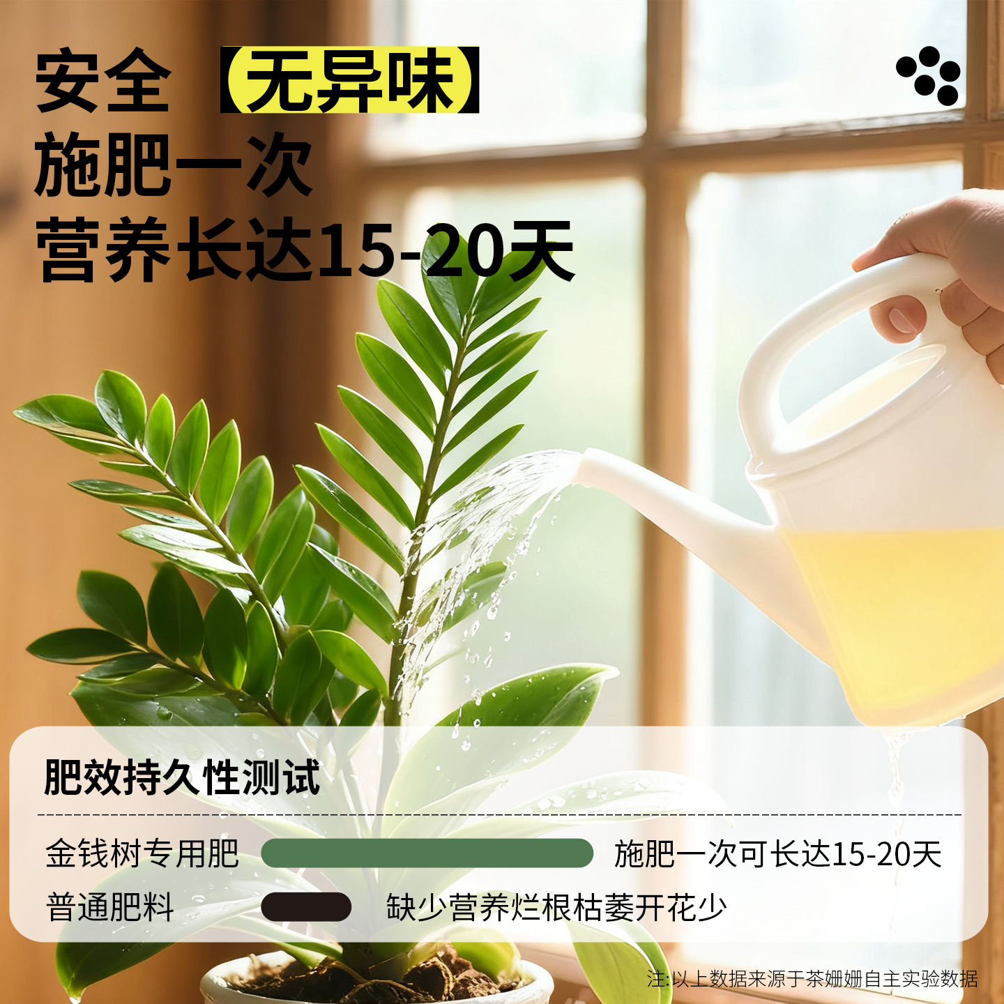 金钱树专用肥营养液复合肥肥料花卉绿植用水溶肥钱串子盆栽叶面肥 - 图3