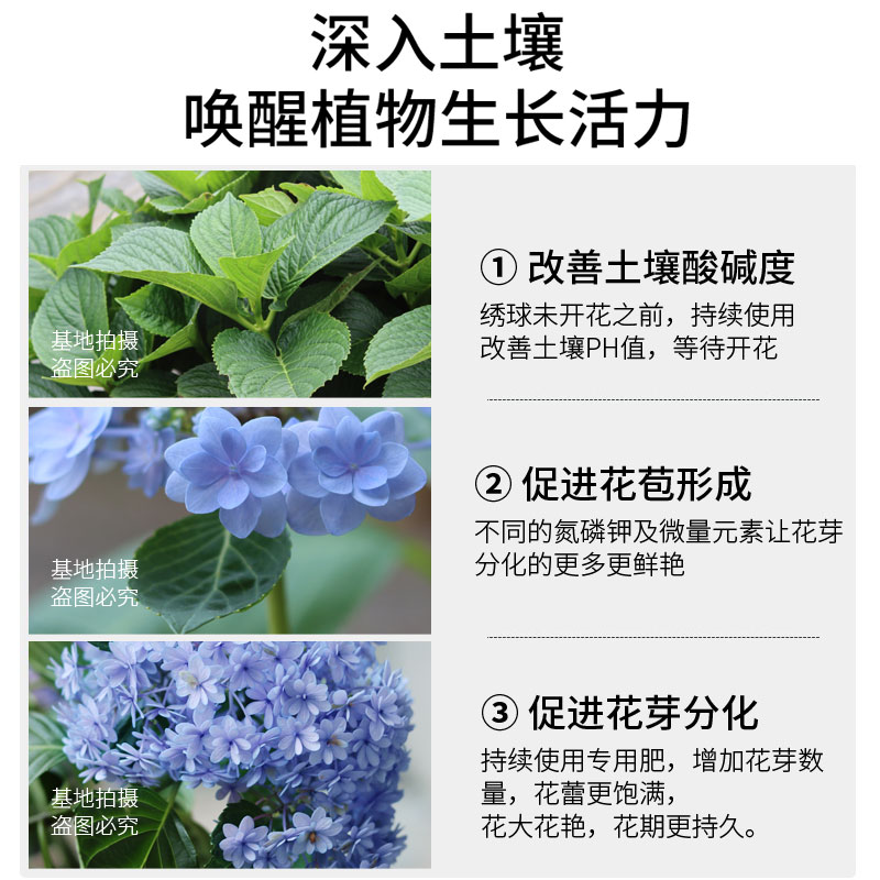 绣球花专用肥料花肥家用盆栽通用型缓释复合肥绣球肥硫酸铝调蓝剂-图1