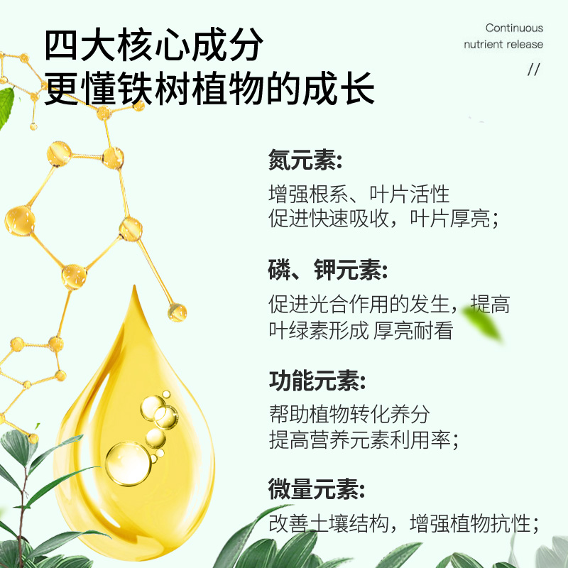 铁树专用肥料叶子发黄铁树专用营养液磷钾肥花用龙须树铁树黄叶病 - 图1