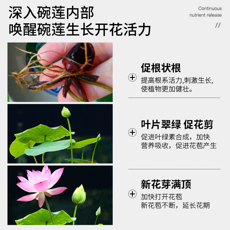 碗莲肥料碗莲营养液睡莲专用营养液促进开花的肥料水培荷花专用肥,淘宝优惠券,粉丝福利购,淘宝优惠卷