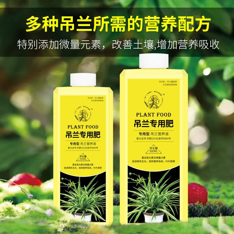 吊兰肥料绿植专用营养液通用富贵竹绿萝专用肥水培植物浓缩液体肥 - 图3