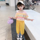 Casual cotton two-piece summer striped chiffon pants set